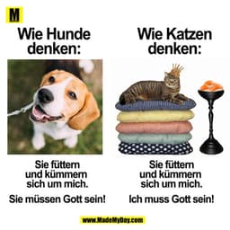 Wie Hunde
Wie Katzen
denken:
denken:
Sie füttern
Sie füttern
und kümmern
und kümmern
sich um mich.
sich um mich.
Ich mus