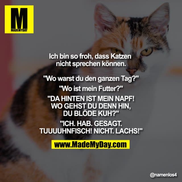 Ich bin so froh, dass Katzen nicht sprechen können.
"Wo warst du den ganzen Tag?"
"Wo ist mein Futter?"
"DA HINTEN IST MEIN NAPF!
WO GEHST DU DENN HIN,
DU BLÖDE KUH?"
"ICH. HAB. GESAGT.
TUUUUHNFISCH! NICHT. LACHS!" - Inspiration, Zitate & Sprüche | MadeMyDay | Jetzt entdecken & teilen Ich bin so froh, dass Katzen nicht sprechen können.
"Wo warst du den ganzen Tag?"
"Wo ist mein Futter?"
"DA HINTEN IST MEIN NAPF!
WO GEHST DU DENN HIN,
DU BLÖDE KUH?"
"ICH. HAB. GESAGT.
TUUUUHNFISCH! NICHT. LACHS!" - Inspirierendes Zitat mit Bild