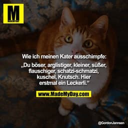 Wie ich meinen Kater ausschimpfe:
„Du böser, arglistiger, kleiner, süßer, flauschiger, schatzi-schmatzi, kuschel, Knutsc