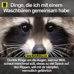 Dinge, die ich mit einem Waschbären gemeinsam habe
Dunkle Ringe um die Augen, isst nur Müll, schaut manchmal süß, etwas