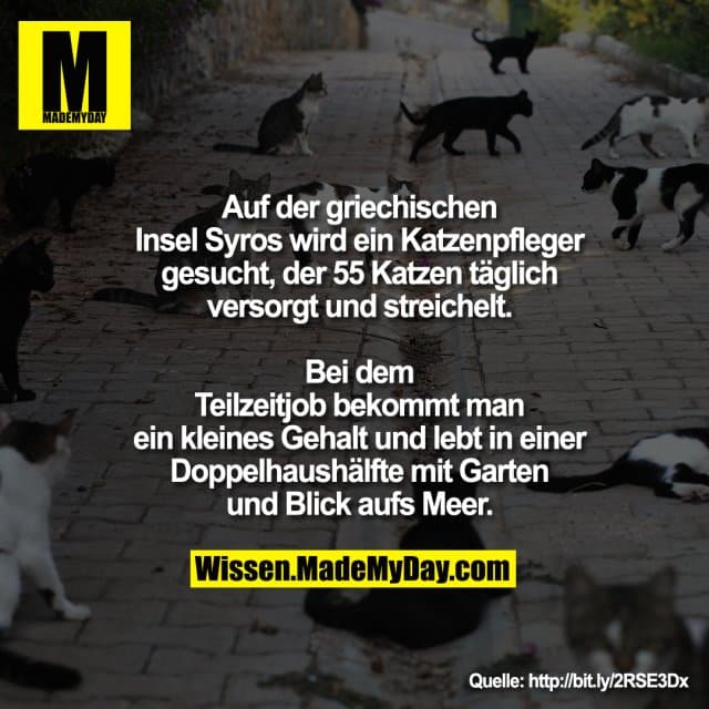 Auf der griechischen Insel Syros wird ein Katzenpfleger gesucht, der 55 Katzen täglich versorgt und streichelt.
Bei dem Teilzeitjob bekommt man ein kleines Gehalt und lebt in einer Doppelhaushälfte mit Garten und Blick aufs Meer. - Inspiration, Zitate & Sprüche | MadeMyDay | Jetzt entdecken & teilen Auf der griechischen Insel Syros wird ein Katzenpfleger gesucht, der 55 Katzen täglich versorgt und streichelt.
Bei dem Teilzeitjob bekommt man ein kleines Gehalt und lebt in einer Doppelhaushälfte mit Garten und Blick aufs Meer. - Inspirierendes Zitat mit Bild