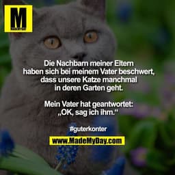 Die Nachbarn meiner Eltern
haben sich bei meinem Vater beschwert,
dass unsere Katze manchmal
in deren Garten geht.
Mein