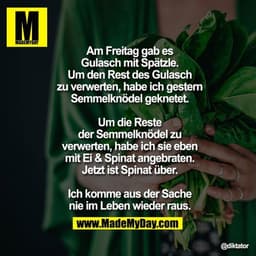 Am Freitag gab es Gulasch mit Spätzle. Um den Rest des Gulasch zu verwerten, habe ich gestern Semmelknödel geknetet. Um