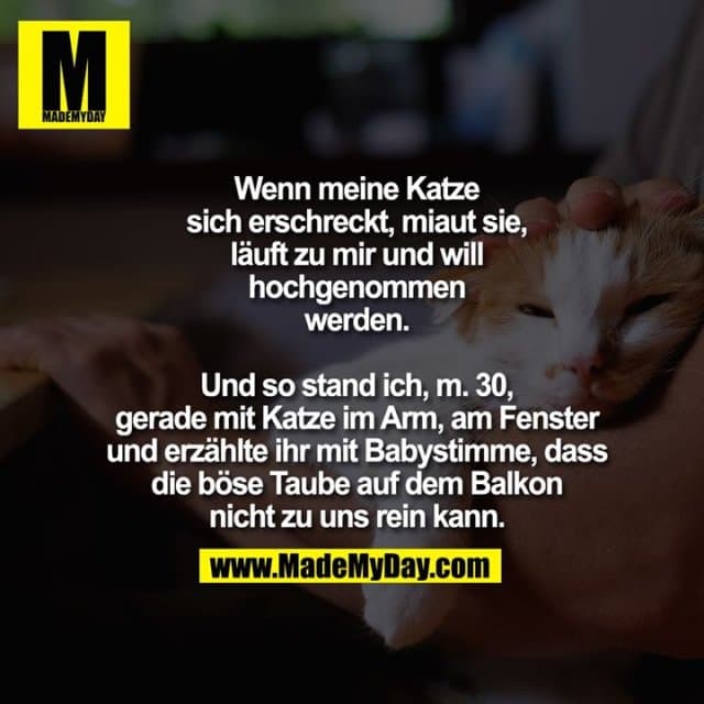 Wenn meine Katze sich erschreckt, miaut sie, läuft zu mir und will hochgenommen werden.
Und so stand ich, m. 30, gerade mit Katze im Arm, am Fenster und erzählte ihr mit Babystimme, dass die böse Taube auf dem Balkon nicht zu uns rein kann. - Inspiration, Zitate & Sprüche | MadeMyDay | Jetzt entdecken & teilen Wenn meine Katze sich erschreckt, miaut sie, läuft zu mir und will hochgenommen werden.
Und so stand ich, m. 30, gerade mit Katze im Arm, am Fenster und erzählte ihr mit Babystimme, dass die böse Taube auf dem Balkon nicht zu uns rein kann. - Inspirierendes Zitat mit Bild