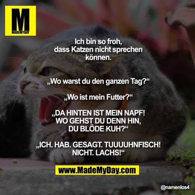Ich bin so froh, dass Katzen
nicht sprechen können.
„Wo warst du den ganzen Tag?“
„Wo ist mein Futter?“
„DA HINTEN IST MEIN NAPF!
WO GEHST DU DENN HIN,
DU BLÖDE KUH?“
„ICH. HAB. GESAGT.
TUUUUHNFISCH! NICHT. LACHS!“ - Inspiration, Zitate & Sprüche | MadeMyDay | Jetzt entdecken & teilen Ich bin so froh, dass Katzen
nicht sprechen können.
„Wo warst du den ganzen Tag?“
„Wo ist mein Futter?“
„DA HINTEN IST MEIN NAPF!
WO GEHST DU DENN HIN,
DU BLÖDE KUH?“
„ICH. HAB. GESAGT.
TUUUUHNFISCH! NICHT. LACHS!“ - Inspirierendes Zitat mit Bild