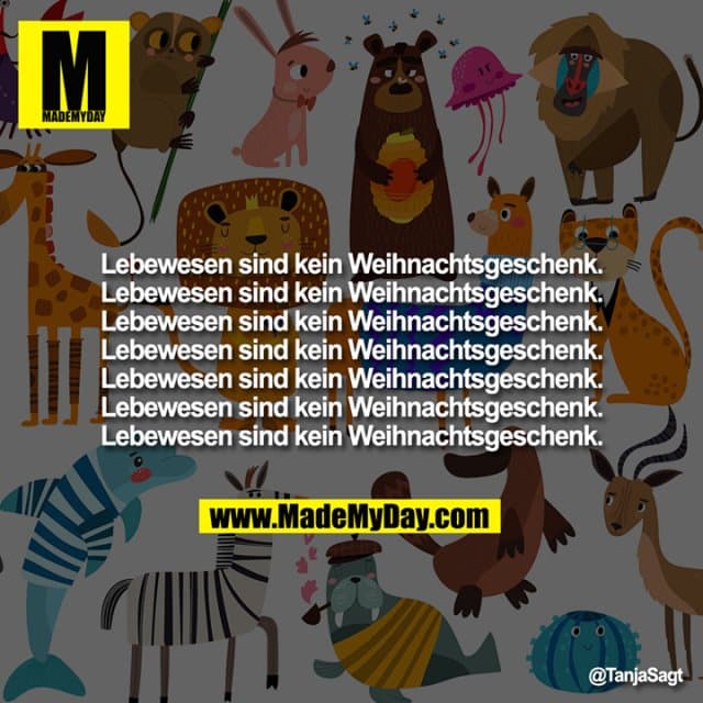 Lebewesen sind kein Weihnachtsgeschenk.
Lebewesen sind kein Weihnachtsgeschenk.
Lebewesen sind kein Weihnachtsgeschenk.
Lebewesen sind kein Weihnachtsgeschenk.
Lebewesen sind kein Weihnachtsgeschenk.
Lebewesen sind kein Weihnachtsgeschenk.
Lebewesen sind kein Weihnachtsgeschenk. - Inspiration, Zitate & Sprüche | MadeMyDay | Jetzt entdecken & teilen Lebewesen sind kein Weihnachtsgeschenk.
Lebewesen sind kein Weihnachtsgeschenk.
Lebewesen sind kein Weihnachtsgeschenk.
Lebewesen sind kein Weihnachtsgeschenk.
Lebewesen sind kein Weihnachtsgeschenk.
Lebewesen sind kein Weihnachtsgeschenk.
Lebewesen sind kein Weihnachtsgeschenk. - Inspirierendes Zitat mit Bild