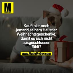 Kauft hier noch
jemand seinem Haustier
Weihnachtsgeschenke,
damit es sich nicht
ausgeschlossen
fühlt?