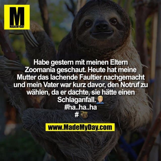 Habe gestern mit meinen Eltern Zoomania geschaut. Heute hat meine Mutter das lachende Faultier nachgemacht und mein Vater war kurz davor, den Notruf zu wählen, da er dachte, sie hätte einen Schlaganfall �
#ha..ha..ha
#� - Inspiration, Zitate & Sprüche | MadeMyDay | Jetzt entdecken & teilen Habe gestern mit meinen Eltern Zoomania geschaut. Heute hat meine Mutter das lachende Faultier nachgemacht und mein Vater war kurz davor, den Notruf zu wählen, da er dachte, sie hätte einen Schlaganfall �
#ha..ha..ha
#� - Inspirierendes Zitat mit Bild