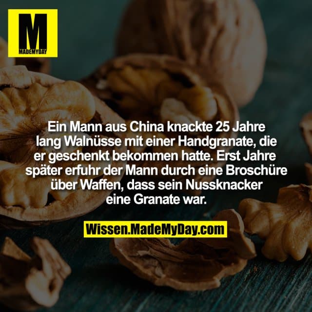 Ein Mann aus China knackte 25 Jahre lang Walnüsse mit einer Handgranate, die er geschenkt bekommen hatte. Erst Jahre später erfuhr der Mann durch eine Broschüre über Waffen, dass sein Nussknacker eine Granate war. - Inspiration, Zitate & Sprüche | MadeMyDay | Jetzt entdecken & teilen Ein Mann aus China knackte 25 Jahre lang Walnüsse mit einer Handgranate, die er geschenkt bekommen hatte. Erst Jahre später erfuhr der Mann durch eine Broschüre über Waffen, dass sein Nussknacker eine Granate war. - Inspirierendes Zitat mit Bild