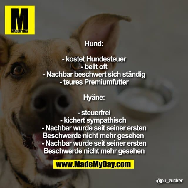 Hund:
- kostet Hundesteuer
- bellt oft
- Nachbar beschwert sich ständig
- teures Premiumfutter
Hyäne:
- steuerfrei
- kichert sympathisch
- Nachbar wurde seit seiner ersten Beschwerde nicht mehr gesehen
- Nachbar wurde seit seiner ersten Beschwerde nicht mehr gesehen - Inspiration, Zitate & Sprüche | MadeMyDay | Jetzt entdecken & teilen Hund:
- kostet Hundesteuer
- bellt oft
- Nachbar beschwert sich ständig
- teures Premiumfutter
Hyäne:
- steuerfrei
- kichert sympathisch
- Nachbar wurde seit seiner ersten Beschwerde nicht mehr gesehen
- Nachbar wurde seit seiner ersten Beschwerde nicht mehr gesehen - Inspirierendes Zitat mit Bild