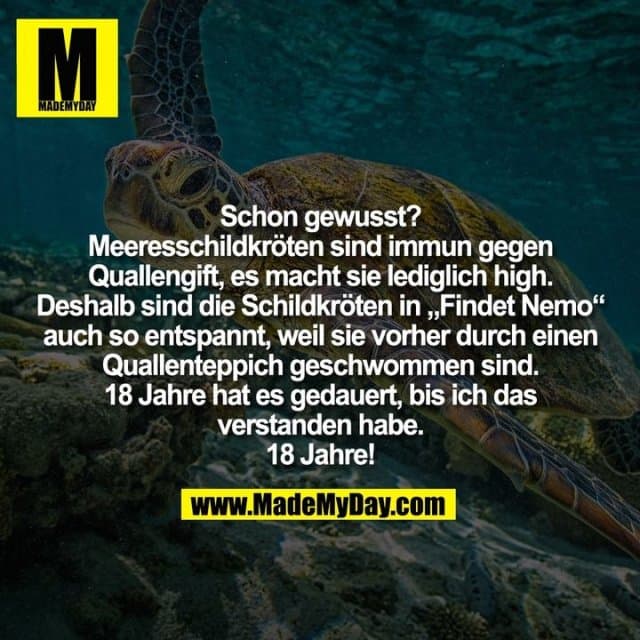 Schon gewusst?
Meeresschildkröten sind immun gegen
Quallengift, es macht sie lediglich high.
Deshalb sind die Schildkröten in „Findet Nemo“
auch so entspannt, weil sie vorher durch einen
Quallenteppich geschwommen sind.
18 Jahre hat es gedauert, bis ich das
verstanden habe.
18 Jahre! - Inspiration, Zitate & Sprüche | MadeMyDay | Jetzt entdecken & teilen Schon gewusst?
Meeresschildkröten sind immun gegen
Quallengift, es macht sie lediglich high.
Deshalb sind die Schildkröten in „Findet Nemo“
auch so entspannt, weil sie vorher durch einen
Quallenteppich geschwommen sind.
18 Jahre hat es gedauert, bis ich das
verstanden habe.
18 Jahre! - Inspirierendes Zitat mit Bild