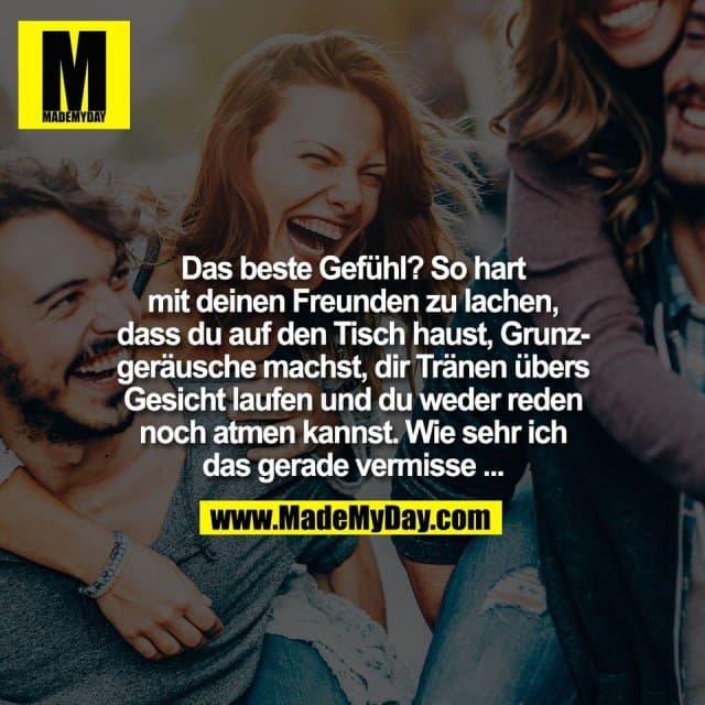 Das beste Gefühl? So hart
mit deinen Freunden zu lachen,
dass du auf den Tisch haust, Grunz-
geräusche machst, dir Tränen übers
Gesicht laufen und du weder reden
noch atmen kannst. Wie sehr ich
das gerade vermisse ... - Inspiration, Zitate & Sprüche | MadeMyDay | Jetzt entdecken & teilen Das beste Gefühl? So hart
mit deinen Freunden zu lachen,
dass du auf den Tisch haust, Grunz-
geräusche machst, dir Tränen übers
Gesicht laufen und du weder reden
noch atmen kannst. Wie sehr ich
das gerade vermisse ... - Inspirierendes Zitat mit Bild