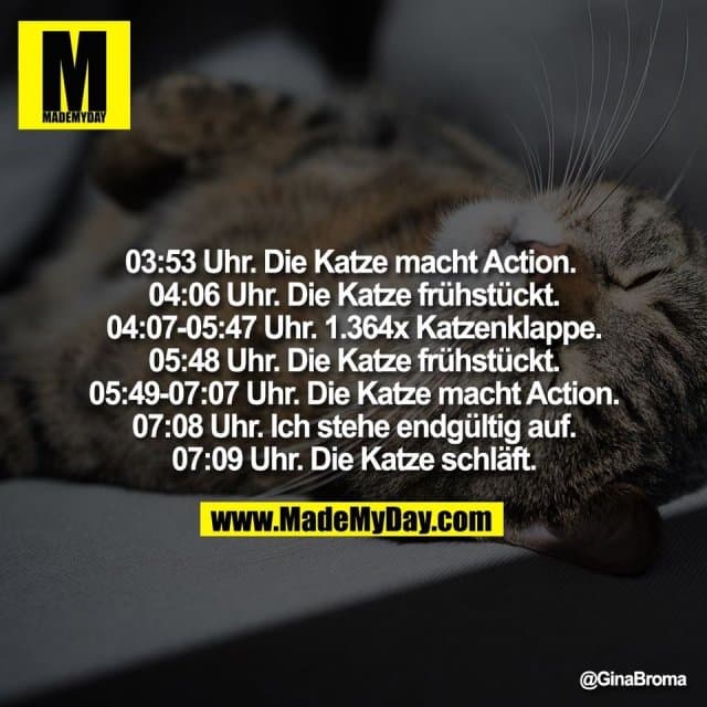 03:53 Uhr. Die Katze macht Action.
04:06 Uhr. Die Katze frühstückt.
04:07-05:47 Uhr. 1.364x Katzenklappe.
05:48 Uhr. Die Katze frühstückt.
05:49-07:07 Uhr. Die Katze macht Action.
07:08 Uhr. Ich stehe endgültig auf.
07:09 Uhr. Die Katze schläft. - Inspiration, Zitate & Sprüche | MadeMyDay | Jetzt entdecken & teilen 03:53 Uhr. Die Katze macht Action.
04:06 Uhr. Die Katze frühstückt.
04:07-05:47 Uhr. 1.364x Katzenklappe.
05:48 Uhr. Die Katze frühstückt.
05:49-07:07 Uhr. Die Katze macht Action.
07:08 Uhr. Ich stehe endgültig auf.
07:09 Uhr. Die Katze schläft. - Inspirierendes Zitat mit Bild
