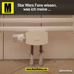 Star Wars Fans wissen,
was ich meine ... @boundborg (BILD)
