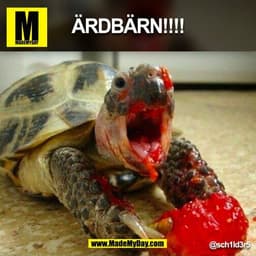 ÄRDBÄRN!!!!
@sch1ld3r5
(BILD)