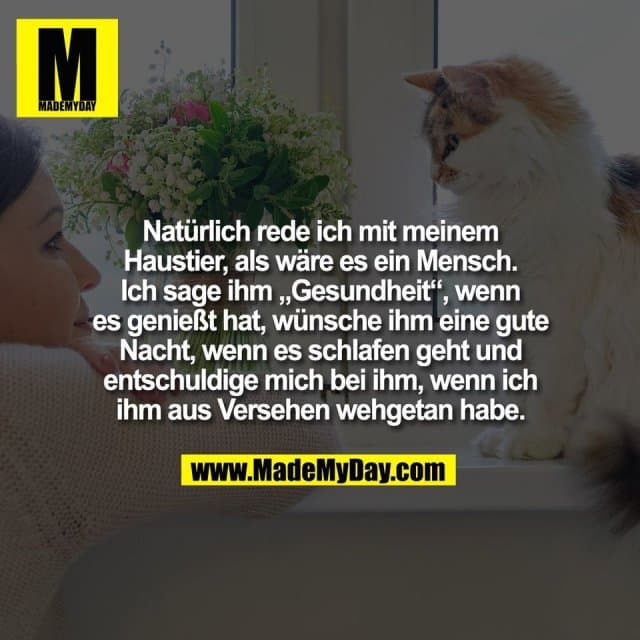 Natürlich rede ich mit meinem
Haustier, als wäre es ein Mensch.
Ich sage ihm „Gesundheit“, wenn
es genießt hat, wünsche ihm eine gute
Nacht, wenn es schlafen geht und
entschuldige mich bei ihm, wenn ich
ihm aus Versehen wehgetan habe. - Inspiration, Zitate & Sprüche | MadeMyDay | Jetzt entdecken & teilen Natürlich rede ich mit meinem
Haustier, als wäre es ein Mensch.
Ich sage ihm „Gesundheit“, wenn
es genießt hat, wünsche ihm eine gute
Nacht, wenn es schlafen geht und
entschuldige mich bei ihm, wenn ich
ihm aus Versehen wehgetan habe. - Inspirierendes Zitat mit Bild