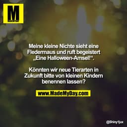 Meine kleine Nichte sieht eine
Fledermaus und ruft begeistert
„Eine Halloween-Amsel!“.
Könnten wir neue Tierarten in
Zu