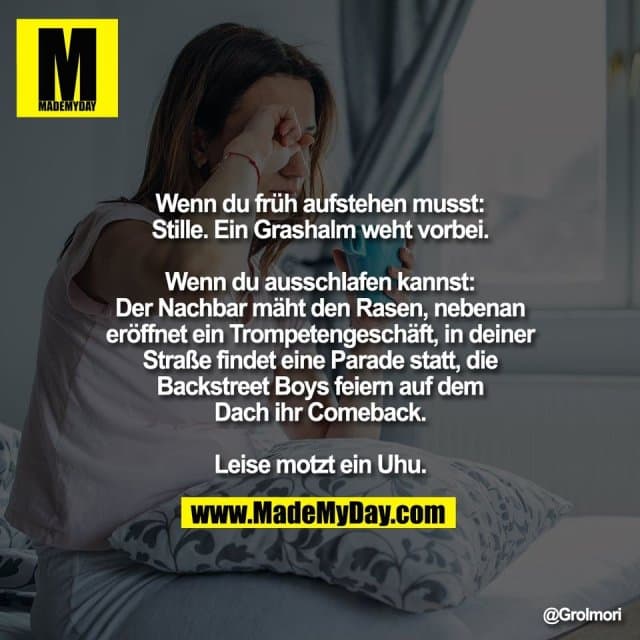 Wenn du früh aufstehen musst:
Stille. Ein Grashalm weht vorbei.
Wenn du ausschlafen kannst:
Der Nachbar mäht den Rasen, nebenan
eröffnet ein Trompetengeschäft, in deiner
Straße findet eine Parade statt, die
Backstreet Boys feiern auf dem
Dach ihr Comeback.
Leise motzt ein Uhu. - Inspiration, Zitate & Sprüche | MadeMyDay | Jetzt entdecken & teilen Wenn du früh aufstehen musst:
Stille. Ein Grashalm weht vorbei.
Wenn du ausschlafen kannst:
Der Nachbar mäht den Rasen, nebenan
eröffnet ein Trompetengeschäft, in deiner
Straße findet eine Parade statt, die
Backstreet Boys feiern auf dem
Dach ihr Comeback.
Leise motzt ein Uhu. - Inspirierendes Zitat mit Bild