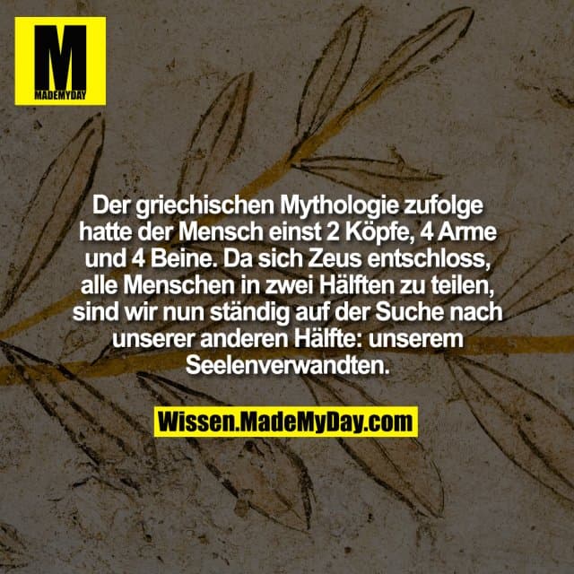 Der griechischen Mythologie zufolge hatte der Mensch einst 2 Köpfe, 4 Arme und 4 Beine. Da sich Zeus entschloss, alle Menschen in zwei Hälften zu teilen, sind wir nun ständig auf der Suche nach unserer anderen Hälfte: unserem Seelenverwandten. - Inspiration, Zitate & Sprüche | MadeMyDay | Jetzt entdecken & teilen Der griechischen Mythologie zufolge hatte der Mensch einst 2 Köpfe, 4 Arme und 4 Beine. Da sich Zeus entschloss, alle Menschen in zwei Hälften zu teilen, sind wir nun ständig auf der Suche nach unserer anderen Hälfte: unserem Seelenverwandten. - Inspirierendes Zitat mit Bild