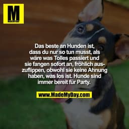 Das beste an Hunden ist,
dass du nur so tun musst, als
wäre was Tolles passiert und
sie fangen sofort an, fröhlich aus-