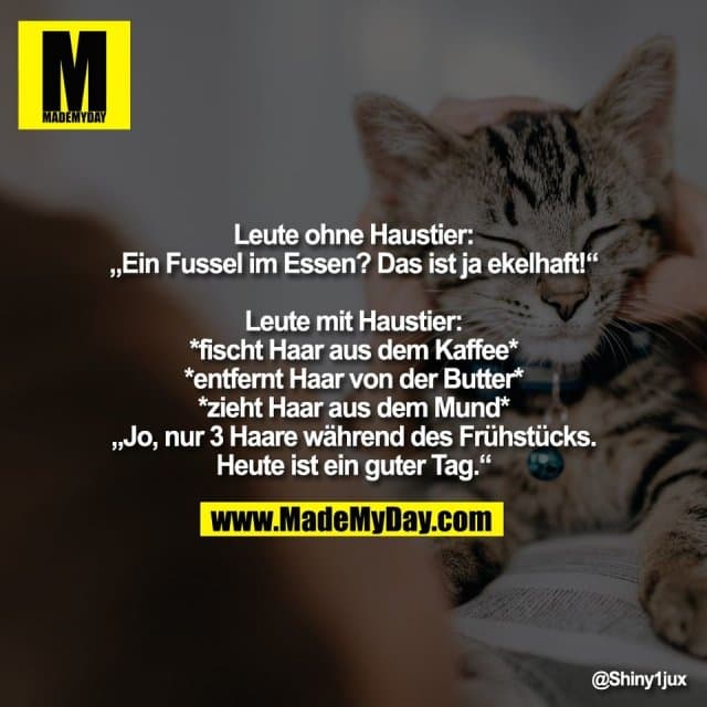 Leute ohne Haustier:
„Ein Fussel im Essen? Das ist ja ekelhaft!“
Leute mit Haustier:
*fischt Haar aus dem Kaffee*
*entfernt Haar von der Butter*
*zieht Haar aus dem Mund*
„Jo, nur 3 Haare während des Frühstücks.
Heute ist ein guter Tag.“ - Inspiration, Zitate & Sprüche | MadeMyDay | Jetzt entdecken & teilen Leute ohne Haustier:
„Ein Fussel im Essen? Das ist ja ekelhaft!“
Leute mit Haustier:
*fischt Haar aus dem Kaffee*
*entfernt Haar von der Butter*
*zieht Haar aus dem Mund*
„Jo, nur 3 Haare während des Frühstücks.
Heute ist ein guter Tag.“ - Inspirierendes Zitat mit Bild
