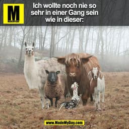 Ich wollte noch nie so
sehr in einer Gang sein
wie in dieser:
(BILD)