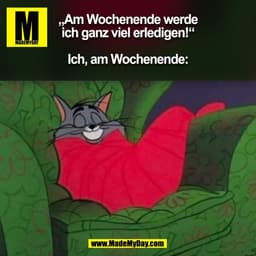 „Am Wochenende werde
ich ganz viel erledigen!“
Ich, am Wochenende:
(BILD)