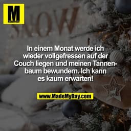 In einem Monat werde ich
wieder vollgefressen auf der
Couch liegen und meinen Tannen-
baum bewundern. Ich kann
es kaum e
