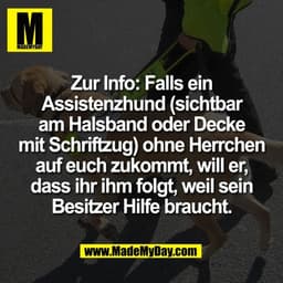 Zur Info: Falls ein
Assistenzhund (sichtbar
am Halsband oder Decke
mit Schriftzug) ohne Herrchen
auf euch zukommt, will