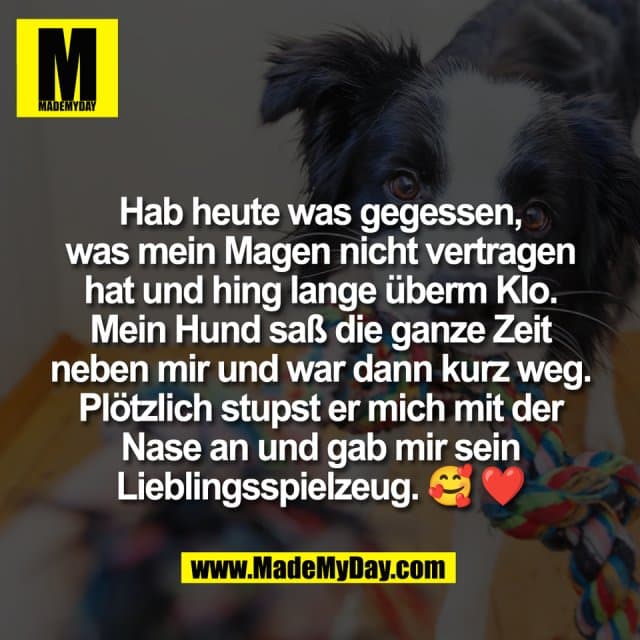 Hab heute was gegessen,
was mein Magen nicht vertragen
hat und hing lange überm Klo.
Mein Hund saß die ganze Zeit
neben mir und war dann kurz weg.
Plötzlich stupst er mich mit der
Nase an und gab mir sein
Lieblingsspielzeug. 🥰 ❤️ - Inspiration, Zitate & Sprüche | MadeMyDay | Jetzt entdecken & teilen Hab heute was gegessen,
was mein Magen nicht vertragen
hat und hing lange überm Klo.
Mein Hund saß die ganze Zeit
neben mir und war dann kurz weg.
Plötzlich stupst er mich mit der
Nase an und gab mir sein
Lieblingsspielzeug. 🥰 ❤️ - Inspirierendes Zitat mit Bild