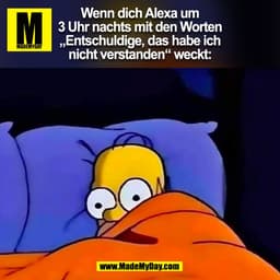 Wenn dich Alexa um
3 Uhr nachts mit den Worten
„Entschuldige, das habe ich
nicht verstanden“ weckt:
(BILD)