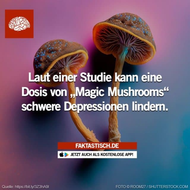 Einer neuen Studie zufolge kann eine Einzeldosis Psilocybin in Verbindung mit einer Psychotherapie zu einer „schnellen, robusten und anhaltenden Verringerung“ der Symptome schwerer Depressionen führen 🍄 📲 Mehr Fakten gibt es in unserer kostenlosen App (Download im App Store oder Play Store) - Inspiration, Zitate & Sprüche | MadeMyDay | Jetzt entdecken & teilen Einer neuen Studie zufolge kann eine Einzeldosis Psilocybin in Verbindung mit einer Psychotherapie zu einer „schnellen, robusten und anhaltenden Verringerung“ der Symptome schwerer Depressionen führen 🍄 📲 Mehr Fakten gibt es in unserer kostenlosen App (Download im App Store oder Play Store) - Inspirierendes Zitat mit Bild