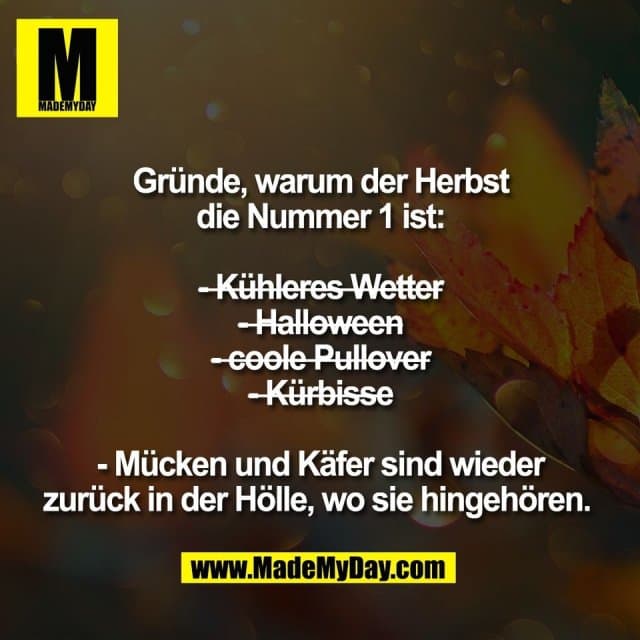Gründe, warum der Herbst
die Nummer 1 ist:
-̶ ̶K̶ü̶h̶l̶e̶r̶e̶s̶ ̶W̶e̶t̶t̶e̶r̶ ̶
-̶ ̶H̶a̶l̶l̶o̶w̶e̶e̶n̶ ̶
-̶ ̶c̶o̶o̶l̶e̶ ̶P̶u̶l̶l̶o̶v̶e̶r̶ ̶
-̶ ̶K̶ü̶r̶b̶i̶s̶s̶e̶ ̶ ̶
- Mücken und Käfer sind wieder
zurück in der Hölle, wo sie hingehören. - Inspiration, Zitate & Sprüche | MadeMyDay | Jetzt entdecken & teilen Gründe, warum der Herbst
die Nummer 1 ist:
-̶ ̶K̶ü̶h̶l̶e̶r̶e̶s̶ ̶W̶e̶t̶t̶e̶r̶ ̶
-̶ ̶H̶a̶l̶l̶o̶w̶e̶e̶n̶ ̶
-̶ ̶c̶o̶o̶l̶e̶ ̶P̶u̶l̶l̶o̶v̶e̶r̶ ̶
-̶ ̶K̶ü̶r̶b̶i̶s̶s̶e̶ ̶ ̶
- Mücken und Käfer sind wieder
zurück in der Hölle, wo sie hingehören. - Inspirierendes Zitat mit Bild