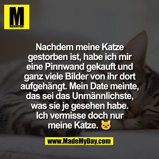Nachdem meine Katze
gestorben ist, habe ich mir
eine Pinnwand gekauft und
ganz viele Bilder von ihr dort
aufgehängt. Mein Date meinte,
das sei das Unmännlichste,
was sie je gesehen habe.
Ich vermisse doch nur
meine Katze. 🐱 - Inspiration, Zitate & Sprüche | MadeMyDay | Jetzt entdecken & teilen Nachdem meine Katze
gestorben ist, habe ich mir
eine Pinnwand gekauft und
ganz viele Bilder von ihr dort
aufgehängt. Mein Date meinte,
das sei das Unmännlichste,
was sie je gesehen habe.
Ich vermisse doch nur
meine Katze. 🐱 - Inspirierendes Zitat mit Bild