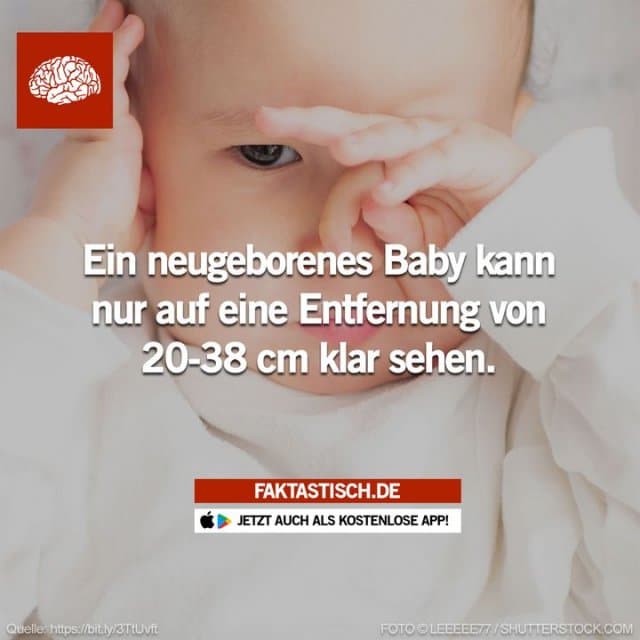 Das Baby sieht in der Ferne unscharf, kann aber Objekte in diesem Bereich wahrnehmen – vor allem ein Gesicht, wenn es nah genug ist 👁️ 📲 Mehr Fakten gibt es in unserer kostenlosen App (Download im App Store oder Play Store) - Inspiration, Zitate & Sprüche | MadeMyDay | Jetzt entdecken & teilen Das Baby sieht in der Ferne unscharf, kann aber Objekte in diesem Bereich wahrnehmen – vor allem ein Gesicht, wenn es nah genug ist 👁️ 📲 Mehr Fakten gibt es in unserer kostenlosen App (Download im App Store oder Play Store) - Inspirierendes Zitat mit Bild