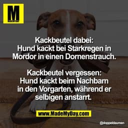 Kackbeutel dabei:
Hund kackt bei Starkregen in
Mordor in einen Dornenstrauch.
Kackbeutel vergessen:
Hund kackt beim Nac