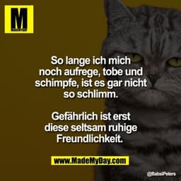 So lange ich mich
noch aufrege, tobe und
schimpfe, ist es gar nicht
so schlimm.
Gefährlich ist erst
diese seltsam ruhig