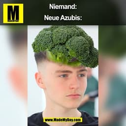 Niemand:
Neue Azubis:
(BILD)