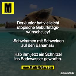 Der Junior hat vielleicht
utopische Geburtstags-
wünsche, ey!
›Schwimmen mit Schweinen
auf den Bahamas‹
Hab ihm jetzt