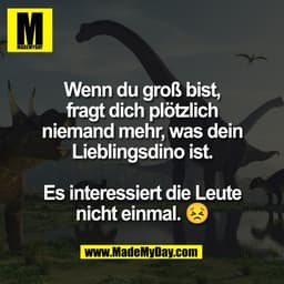 Wenn du groß bist,
fragt dich plötzlich
niemand mehr, was dein
Lieblingsdino ist.
Es interessiert die Leute
nicht einma
