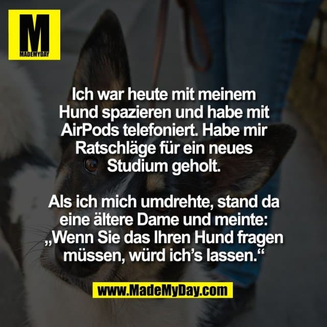 Ich war heute mit meinem
Hund spazieren und habe mit
AirPods telefoniert. Habe mir
Ratschläge für ein neues
Studium geholt.
Als ich mich umdrehte, stand da
eine ältere Dame und meinte:
„Wenn Sie das Ihren Hund fragen
müssen, würd ich’s lassen.“ - Inspiration, Zitate & Sprüche | MadeMyDay | Jetzt entdecken & teilen Ich war heute mit meinem
Hund spazieren und habe mit
AirPods telefoniert. Habe mir
Ratschläge für ein neues
Studium geholt.
Als ich mich umdrehte, stand da
eine ältere Dame und meinte:
„Wenn Sie das Ihren Hund fragen
müssen, würd ich’s lassen.“ - Inspirierendes Zitat mit Bild