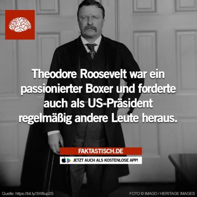 Roosevelt boxte für die Universität Harvard bei den Meisterschaften im Leichtgewicht und trainierte auch während seiner politischen Karriere 🥊 📲 Mehr Fakten gibt es in unserer kostenlosen App (Download im App Store oder Play Store) - Inspiration, Zitate & Sprüche | MadeMyDay | Jetzt entdecken & teilen Roosevelt boxte für die Universität Harvard bei den Meisterschaften im Leichtgewicht und trainierte auch während seiner politischen Karriere 🥊 📲 Mehr Fakten gibt es in unserer kostenlosen App (Download im App Store oder Play Store) - Inspirierendes Zitat mit Bild