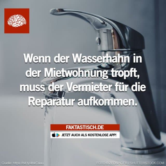 Generell ist der Vermieter dazu verpflichtet, den Wohnraum so zu vermieten, dass er einwandfrei nutzbar ist – es gibt jedoch auch einige Ausnahmen 🤔 📲 Mehr Fakten gibt es in unserer kostenlosen App (Download im App Store oder Play Store) - Inspiration, Zitate & Sprüche | MadeMyDay | Jetzt entdecken & teilen Generell ist der Vermieter dazu verpflichtet, den Wohnraum so zu vermieten, dass er einwandfrei nutzbar ist – es gibt jedoch auch einige Ausnahmen 🤔 📲 Mehr Fakten gibt es in unserer kostenlosen App (Download im App Store oder Play Store) - Inspirierendes Zitat mit Bild