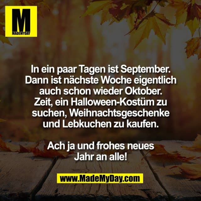 In ein paar Tagen ist September.
Dann ist nächste Woche eigentlich
auch schon wieder Oktober.
Zeit, ein Halloween-Kostüm zu
suchen, Weihnachtsgeschenke
und Lebkuchen zu kaufen.
Ach ja und frohes neues
Jahr an alle! - Inspiration, Zitate & Sprüche | MadeMyDay | Jetzt entdecken & teilen In ein paar Tagen ist September.
Dann ist nächste Woche eigentlich
auch schon wieder Oktober.
Zeit, ein Halloween-Kostüm zu
suchen, Weihnachtsgeschenke
und Lebkuchen zu kaufen.
Ach ja und frohes neues
Jahr an alle! - Inspirierendes Zitat mit Bild