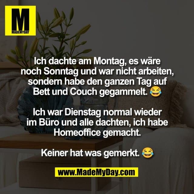 Ich dachte am Montag, es wäre
noch Sonntag und war nicht arbeiten,
sondern habe den ganzen Tag auf
Bett und Couch gegammelt. 😂
Ich war Dienstag normal wieder
im Büro und alle dachten, ich habe
Homeoffice gemacht.
Keiner hat was gemerkt. 😂 - Inspiration, Zitate & Sprüche | MadeMyDay | Jetzt entdecken & teilen Ich dachte am Montag, es wäre
noch Sonntag und war nicht arbeiten,
sondern habe den ganzen Tag auf
Bett und Couch gegammelt. 😂
Ich war Dienstag normal wieder
im Büro und alle dachten, ich habe
Homeoffice gemacht.
Keiner hat was gemerkt. 😂 - Inspirierendes Zitat mit Bild