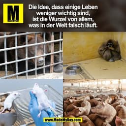 Die Idee, dass einige Leben
weniger wichtig sind,
ist die Wurzel von allem,
was in der Welt falsch läuft.
(BILD)