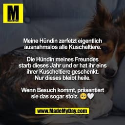 Meine Hündin zerfetzt eigentlich
ausnahmslos alle Kuscheltiere.
Die Hündin meines Freundes
starb dieses Jahr und er hat