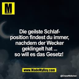 Die geilste Schlaf-
position findest du immer,
nachdem der Wecker
geklingelt hat ...
so will es das Gesetz!