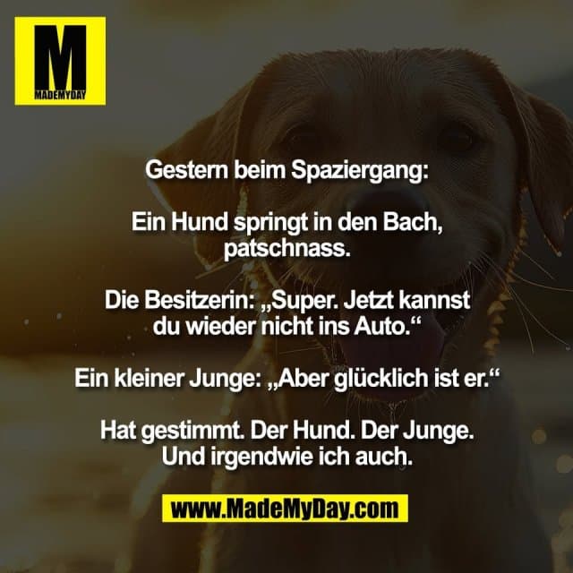 Gestern beim Spaziergang:
Ein Hund springt in den Bach,
patschnass.
Die Besitzerin: „Super. Jetzt kannst
du wieder nicht ins Auto.“
Ein kleiner Junge: „Aber glücklich ist er.“
Hat gestimmt. Der Hund. Der Junge.
Und irgendwie ich auch. - Inspiration, Zitate & Sprüche | MadeMyDay | Jetzt entdecken & teilen Gestern beim Spaziergang:
Ein Hund springt in den Bach,
patschnass.
Die Besitzerin: „Super. Jetzt kannst
du wieder nicht ins Auto.“
Ein kleiner Junge: „Aber glücklich ist er.“
Hat gestimmt. Der Hund. Der Junge.
Und irgendwie ich auch. - Inspirierendes Zitat mit Bild